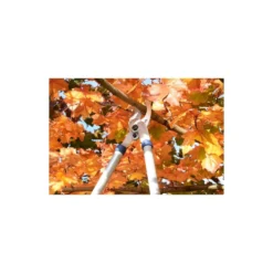 Spear & Jackson Razorsharp Tele Bypass Lopper -Garden And Outdoor Goods Store 12810811 1464833196929633