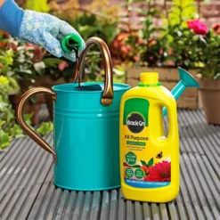 Miracle-Gro All Purpose Concentrated Liquid Plant Food - 1L -Garden And Outdoor Goods Store 12819549 1144832990379429