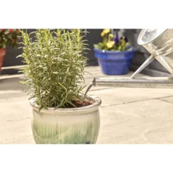 Miracle-Gro Pump & Feed All Purpose Plant Food - 200ml 10 Miracle-Gro Pump & Feed All Purpose Plant Food - 200ml -Garden And Outdoor Goods Store 12834802 8834833167206419