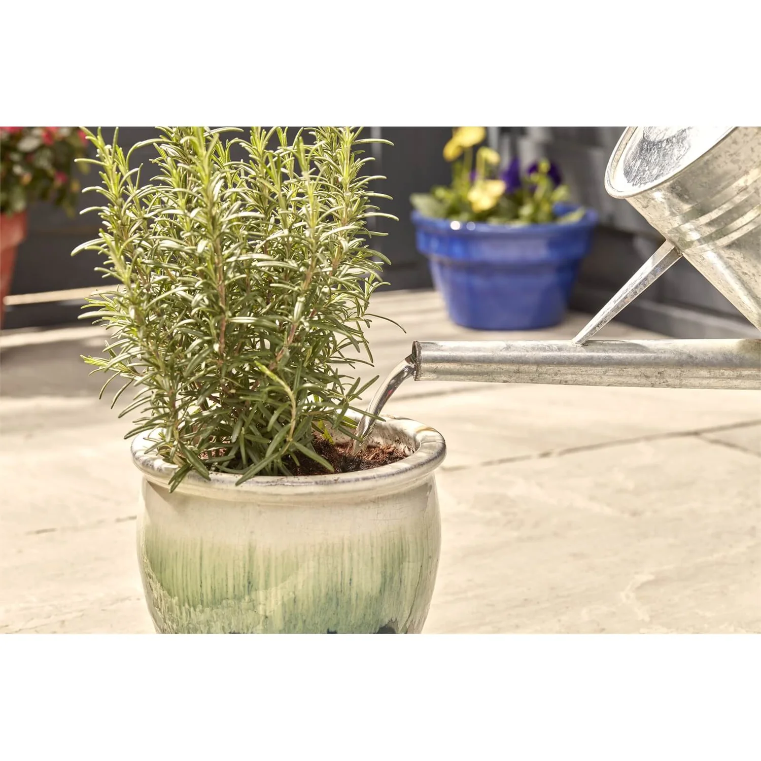 Miracle-Gro Pump & Feed All Purpose Plant Food - 200ml 5 Miracle-Gro Pump & Feed All Purpose Plant Food - 200ml - Image 5