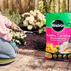 Miracle Gro Premium Azalea, Camellia & Rhododendron Ericaceous Compost - 40L -Garden And Outdoor Goods Store 12882812 1004843671886080