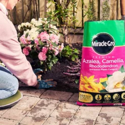 Miracle Gro Premium Azalea, Camellia & Rhododendron Ericaceous Compost - 40L -Garden And Outdoor Goods Store 12882812 1404843671956442