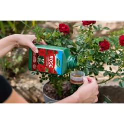 Westland Rose Specialist Liquid Plant Food Concentrate - 1l -Garden And Outdoor Goods Store 12886481 7044936610878716
