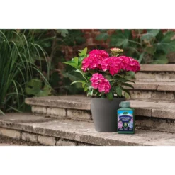 Westland Hydrangea Feed - 1l -Garden And Outdoor Goods Store 12886486 5014971590603901