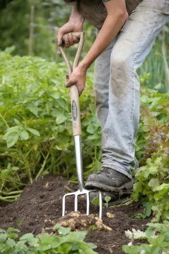 Spear & Jackson Traditional Stainless Digging Fork -Garden And Outdoor Goods Store 12904675 1274851072244143