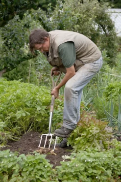 Spear & Jackson Traditional Stainless Digging Fork -Garden And Outdoor Goods Store 12904675 2754851072222033