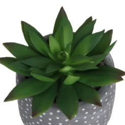 Small Succulent - Grey -Garden And Outdoor Goods Store 12909500 1734869235660464