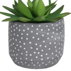 Small Succulent - Grey -Garden And Outdoor Goods Store 12909500 2024869235581411