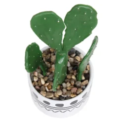 Cactus In Abstract Pot -Garden And Outdoor Goods Store 12909502 1064869235554777