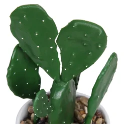 Cactus In Abstract Pot -Garden And Outdoor Goods Store 12909502 1344869235594629