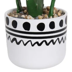 Cactus In Abstract Pot -Garden And Outdoor Goods Store 12909502 2064869235687110