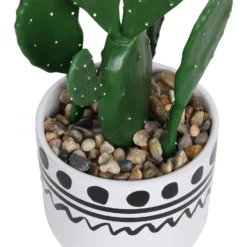 Cactus In Abstract Pot -Garden And Outdoor Goods Store 12909502 2094869235640256