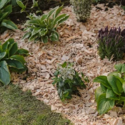 Westland Rustic Wood Chips - 60L -Garden And Outdoor Goods Store 13280769 1564929084866478