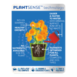 Westland Boost All Purpose Plant Food 1L -Garden And Outdoor Goods Store 13411841 1554971590892285