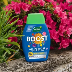 Westland Boost All Purpose Plant Food 1L -Garden And Outdoor Goods Store 13411841 8474971590810400