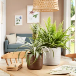 Garden And Outdoor Goods Store -Garden And Outdoor Goods Store 13953256 1364987120105689