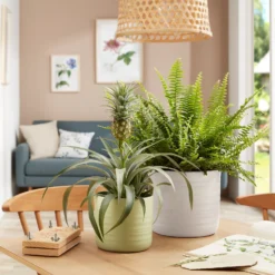 Scheurich Ripple White Indoor Pot - 14cm -Garden And Outdoor Goods Store 13953256 4084987120164177