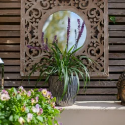 Chiswick Textured Pot Black - 24cm -Garden And Outdoor Goods Store 13973635 4425011239236868