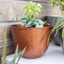 Suva Hammered Pot Copper - 31cm 9 Suva Hammered Pot Copper - 31cm -Garden And Outdoor Goods Store 13973652 1715011805989134