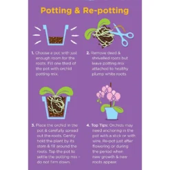 Westland Orchid Potting Mix Peat Free 8L -Garden And Outdoor Goods Store 14013784 4815003754410304