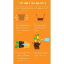 Westland Citrus Potting Mix Peat Free 8L -Garden And Outdoor Goods Store 14013785 1645003754507372
