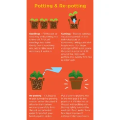 Westland Cacti & Succulent Potting Mix Peat Free 4L -Garden And Outdoor Goods Store 14013786 1245003754031248