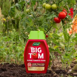 Westland Big Tom Super Tomato Food 7 Westland Big Tom Super Tomato Food -Garden And Outdoor Goods Store 14013789 1265003754036822