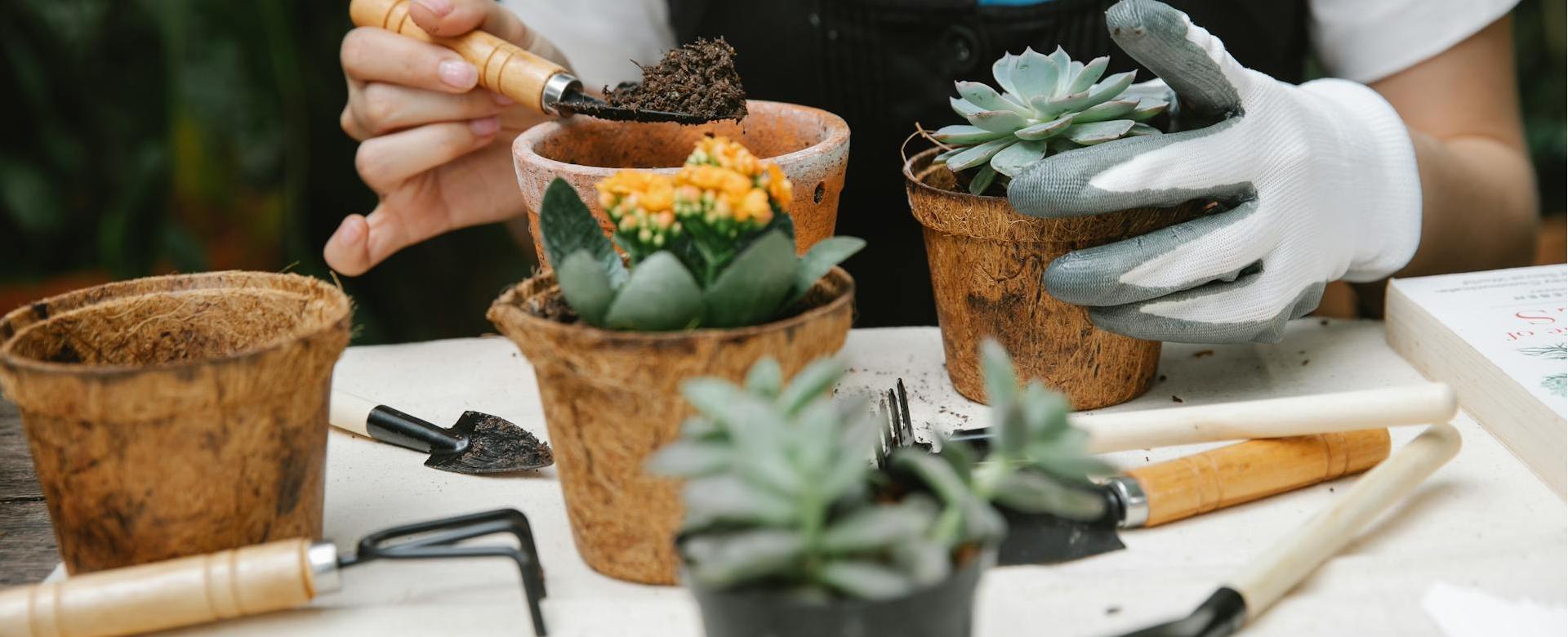 Garden And Outdoor Goods Store -Garden And Outdoor Goods Store pexels gary barnes 6231736