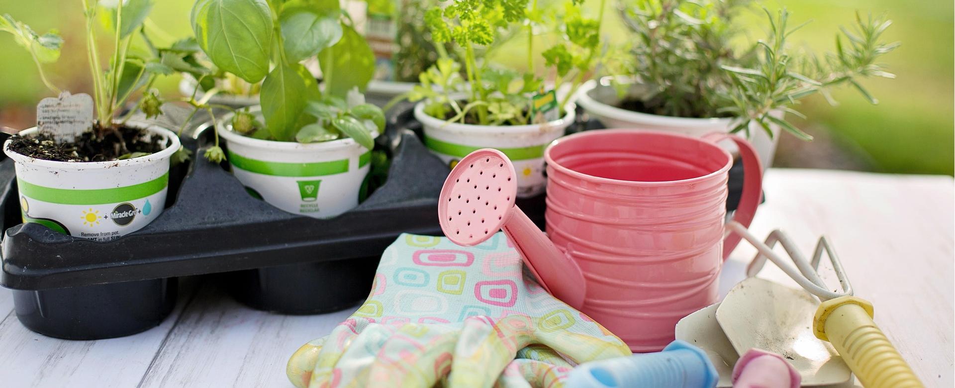 Garden And Outdoor Goods Store -Garden And Outdoor Goods Store planting 4226838 1920